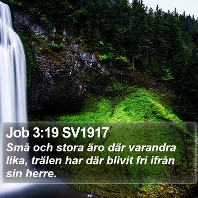 Job 3:19 SV1917 Bible Verse Image