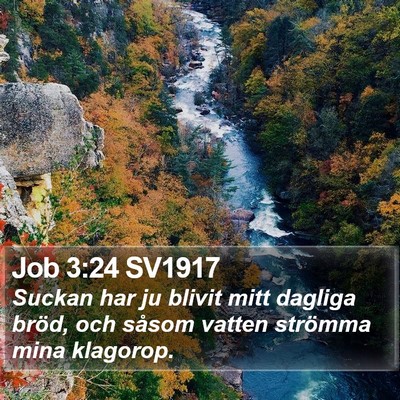 Job 3:24 SV1917 Bible Verse Image