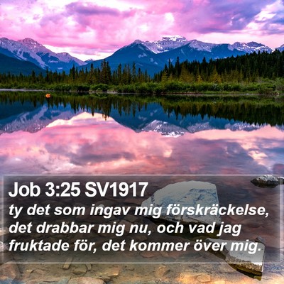 Job 3:25 SV1917 Bible Verse Image