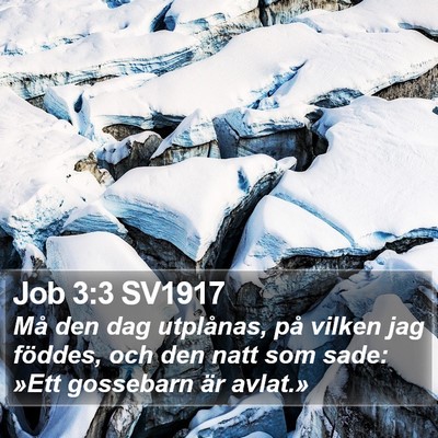 Job 3:3 SV1917 Bible Verse Image