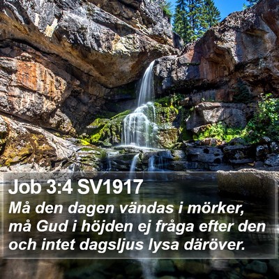 Job 3:4 SV1917 Bible Verse Image