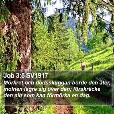 Job 3:5 SV1917 Bible Verse Image
