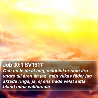Job 30:1 SV1917 Bible Verse Image