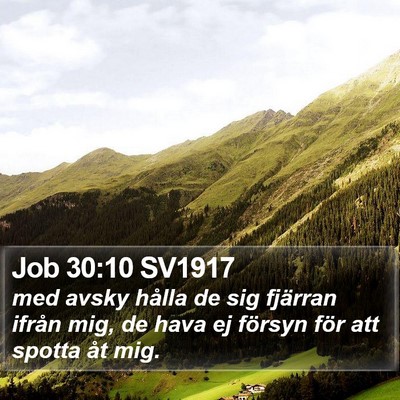 Job 30:10 SV1917 Bible Verse Image