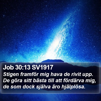 Job 30:13 SV1917 Bible Verse Image