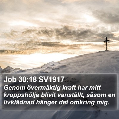 Job 30:18 SV1917 Bible Verse Image