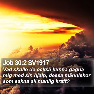 Job 30:2 SV1917 Bible Verse Image