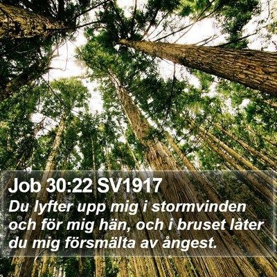 Job 30:22 SV1917 Bible Verse Image