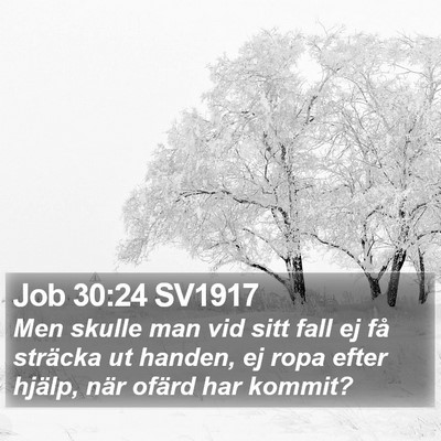 Job 30:24 SV1917 Bible Verse Image