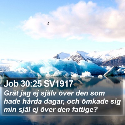 Job 30:25 SV1917 Bible Verse Image