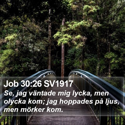 Job 30:26 SV1917 Bible Verse Image