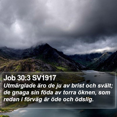 Job 30:3 SV1917 Bible Verse Image