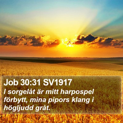 Job 30:31 SV1917 Bible Verse Image
