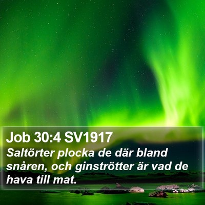 Job 30:4 SV1917 Bible Verse Image