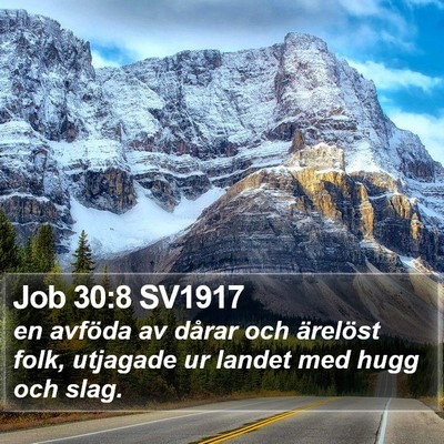Job 30:8 SV1917 Bible Verse Image