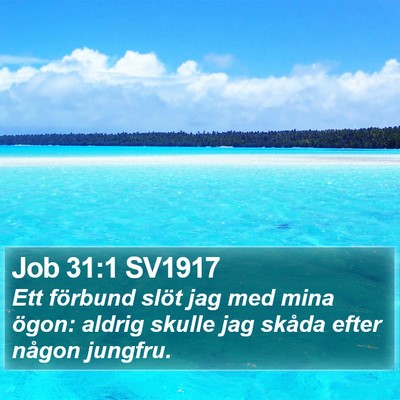 Job 31:1 SV1917 Bible Verse Image
