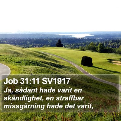 Job 31:11 SV1917 Bible Verse Image