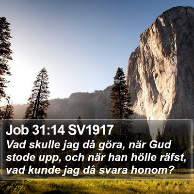 Job 31:14 SV1917 Bible Verse Image