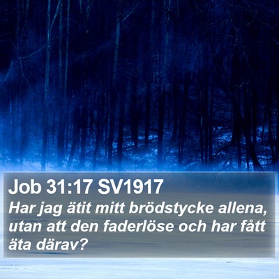 Job 31:17 SV1917 Bible Verse Image