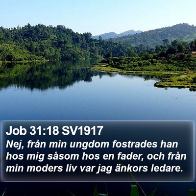 Job 31:18 SV1917 Bible Verse Image