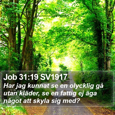Job 31:19 SV1917 Bible Verse Image