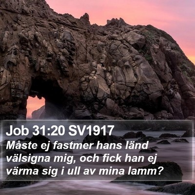 Job 31:20 SV1917 Bible Verse Image