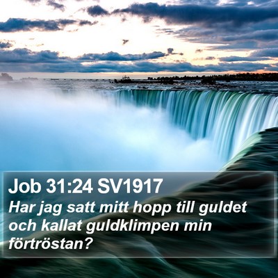 Job 31:24 SV1917 Bible Verse Image