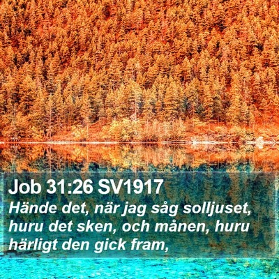 Job 31:26 SV1917 Bible Verse Image