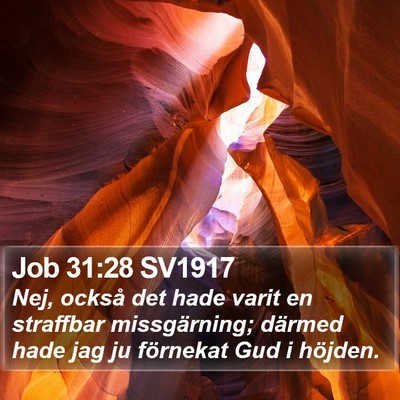 Job 31:28 SV1917 Bible Verse Image