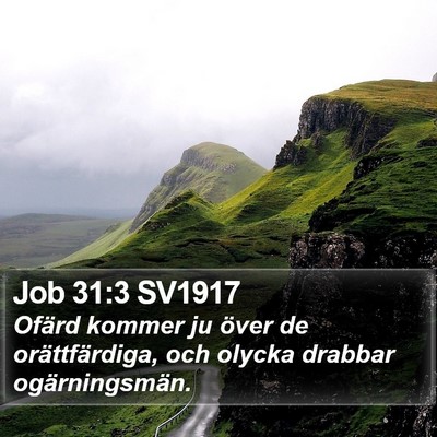Job 31:3 SV1917 Bible Verse Image