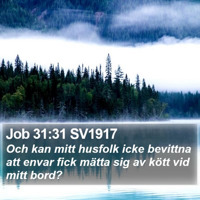 Job 31:31 SV1917 Bible Verse Image