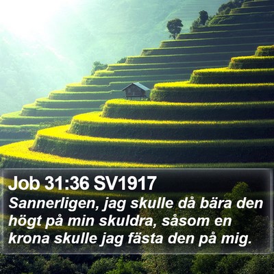 Job 31:36 SV1917 Bible Verse Image
