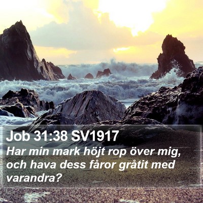 Job 31:38 SV1917 Bible Verse Image