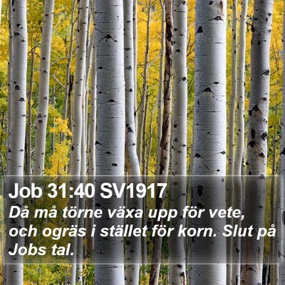 Job 31:40 SV1917 Bible Verse Image