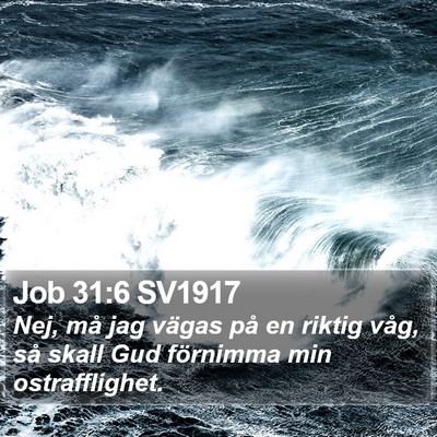Job 31:6 SV1917 Bible Verse Image