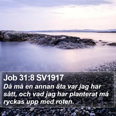 Job 31:8 SV1917 Bible Verse Image