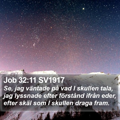 Job 32:11 SV1917 Bible Verse Image
