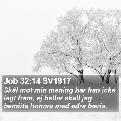 Job 32:14 SV1917 Bible Verse Image