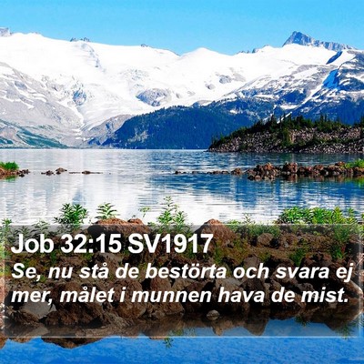 Job 32:15 SV1917 Bible Verse Image