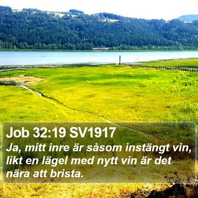 Job 32:19 SV1917 Bible Verse Image