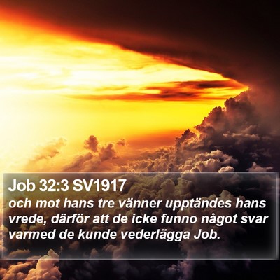 Job 32:3 SV1917 Bible Verse Image