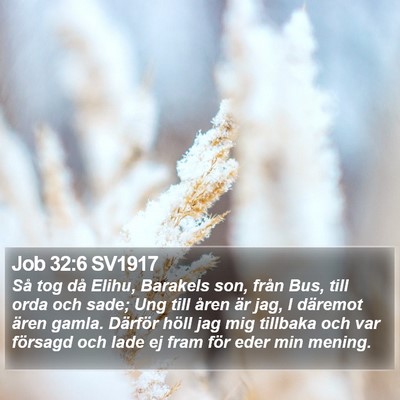 Job 32:6 SV1917 Bible Verse Image