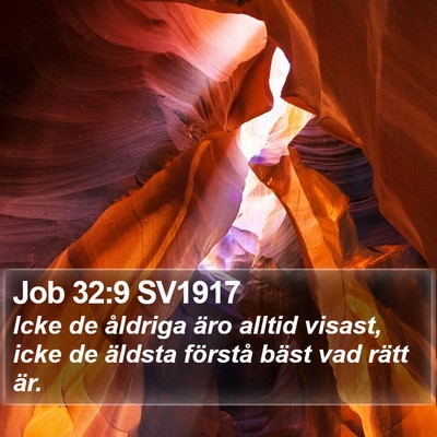 Job 32:9 SV1917 Bible Verse Image