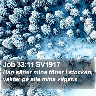 Job 33:11 SV1917 Bible Verse Image