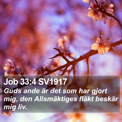 Job 33:4 SV1917 Bible Verse Image