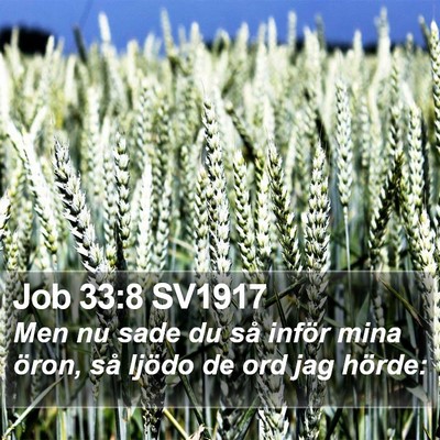 Job 33:8 SV1917 Bible Verse Image