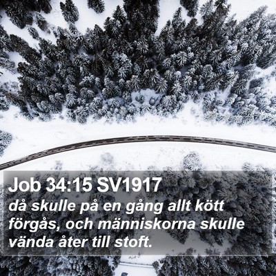 Job 34:15 SV1917 Bible Verse Image