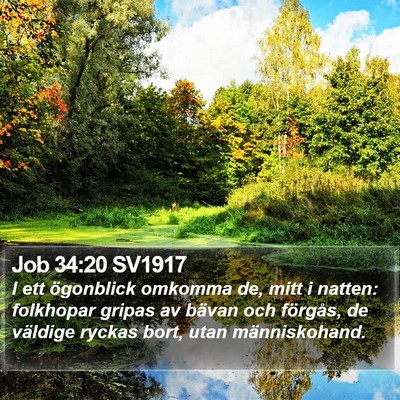 Job 34:20 SV1917 Bible Verse Image