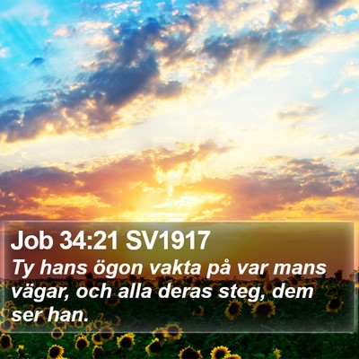 Job 34:21 SV1917 Bible Verse Image