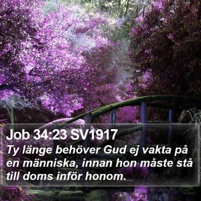 Job 34:23 SV1917 Bible Verse Image
